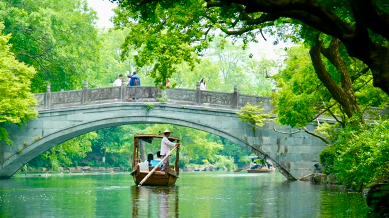 Traditional wooden boat passing under a stone arch bridge on West Lake, lush green willows overhead