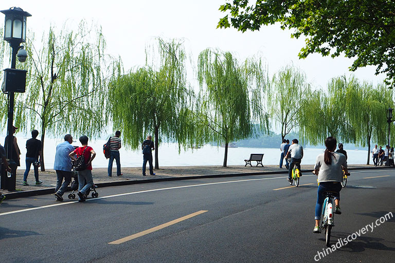 Cyclists along a West Lake bike path with willows